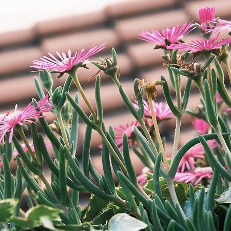 Comecasa Flowery Terraced Apartment Milan Luaran gambar